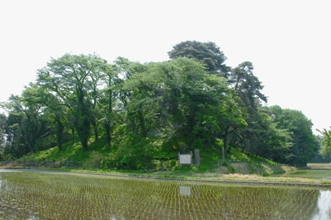 上侍塚古墳