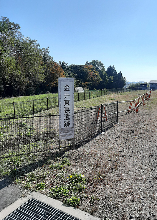 金井東裏遺跡