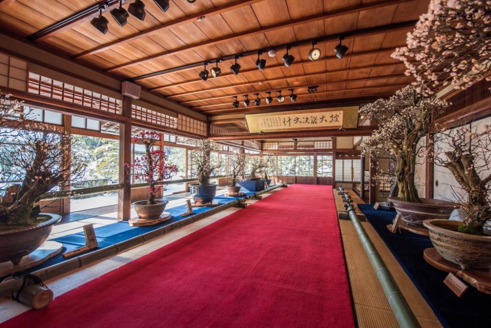 長浜の早春賦・盆梅展